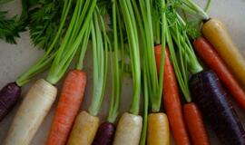 Patiekalai iš morkų užtikrina sveiką mitybą ir skonių atradimus