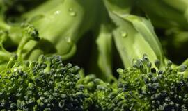 6 priežastys, dėl kurių brokolis laikomas supermaistu