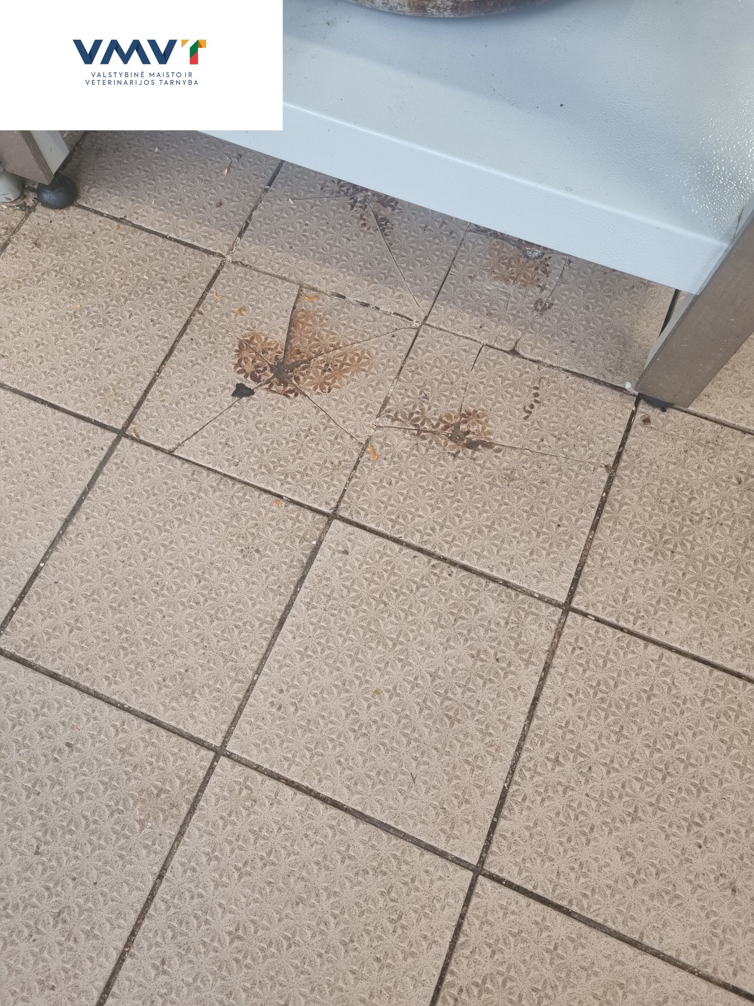 Suaugusiųjų gimnazija