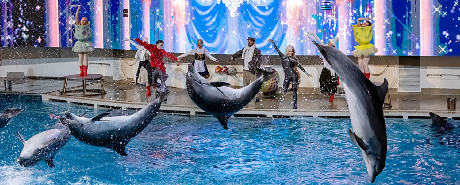 Pasaka "Gražuolė ir pabaisa"