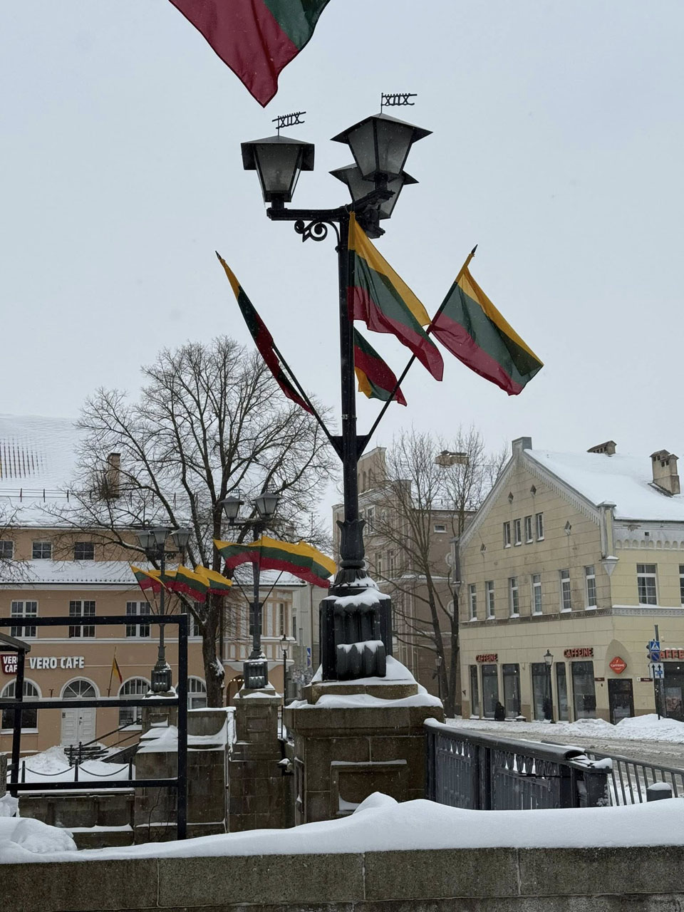 Vėliavos, vasario 16-oji