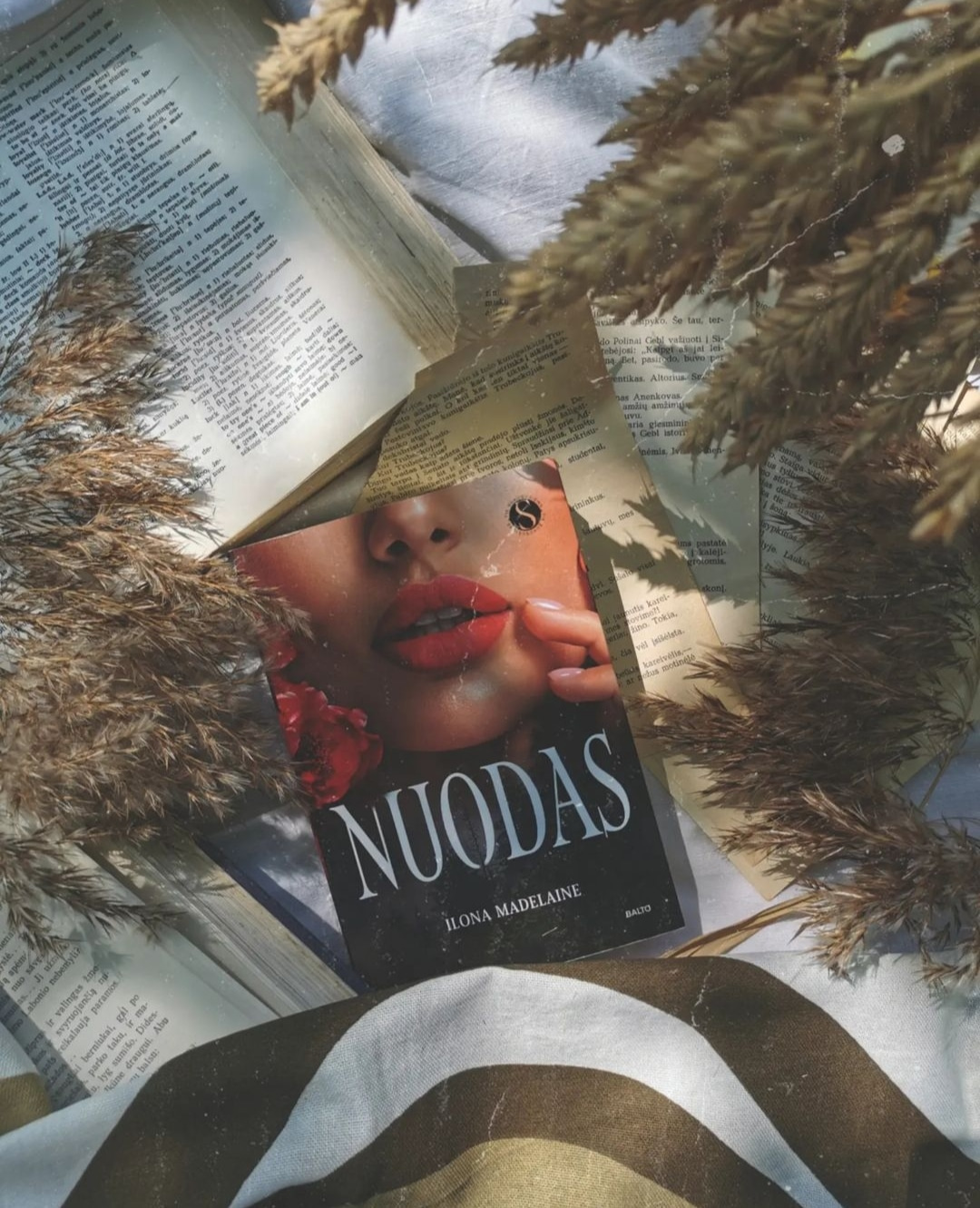 Ilona Madelaine romanas Nuodas