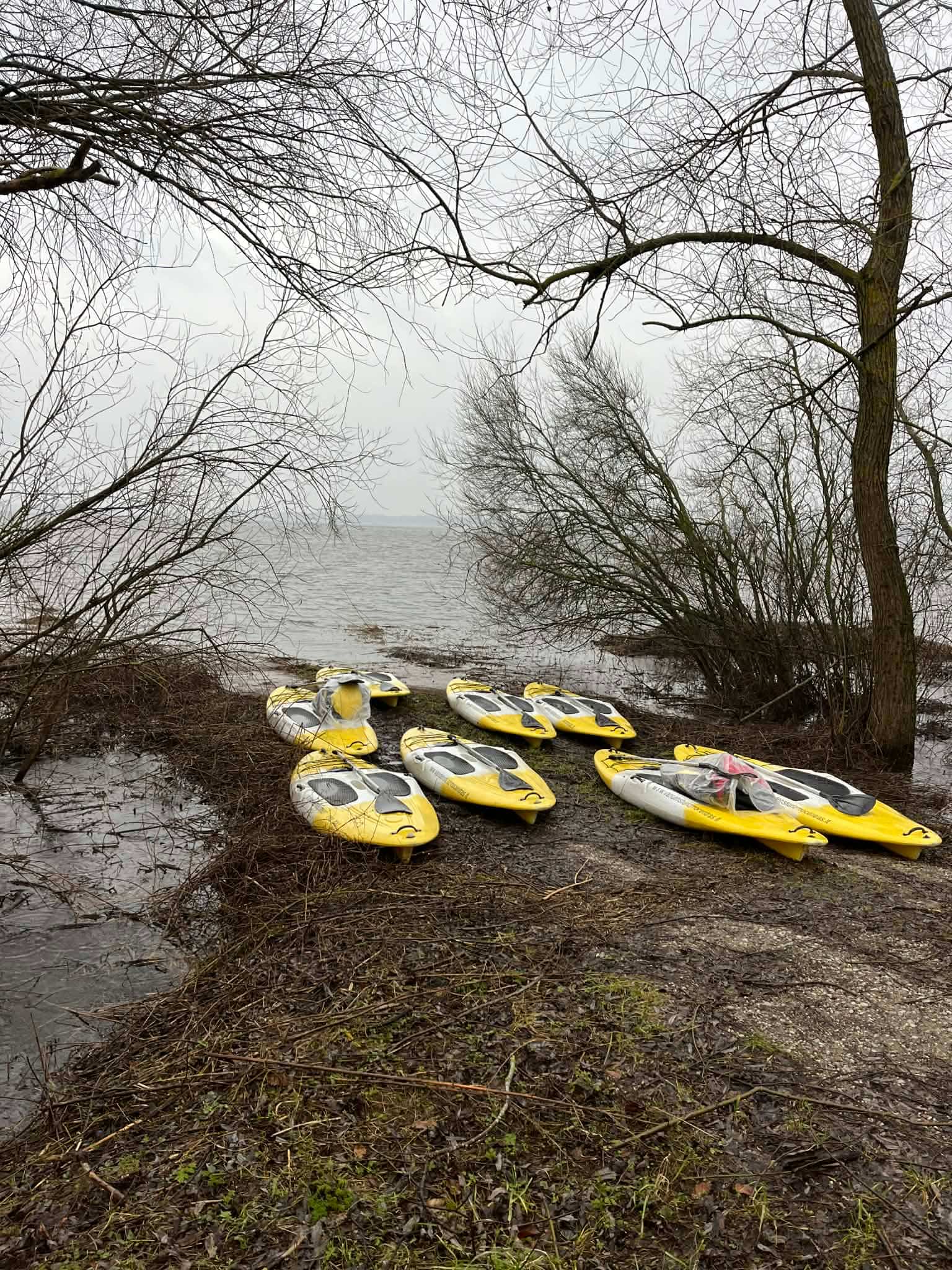 Potvynis Pamaryje irklentės