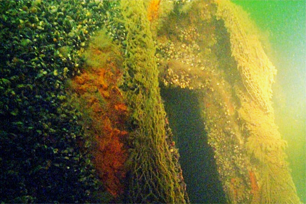 Paskendę mediniai laivai Baltijos jūroje gali išsilaikyti labai ilgai