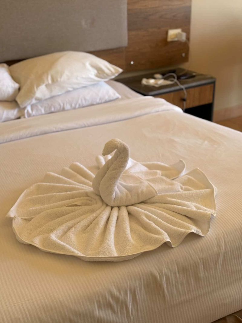 Airė Egipte įsisuko į „rankšluosčių karą“