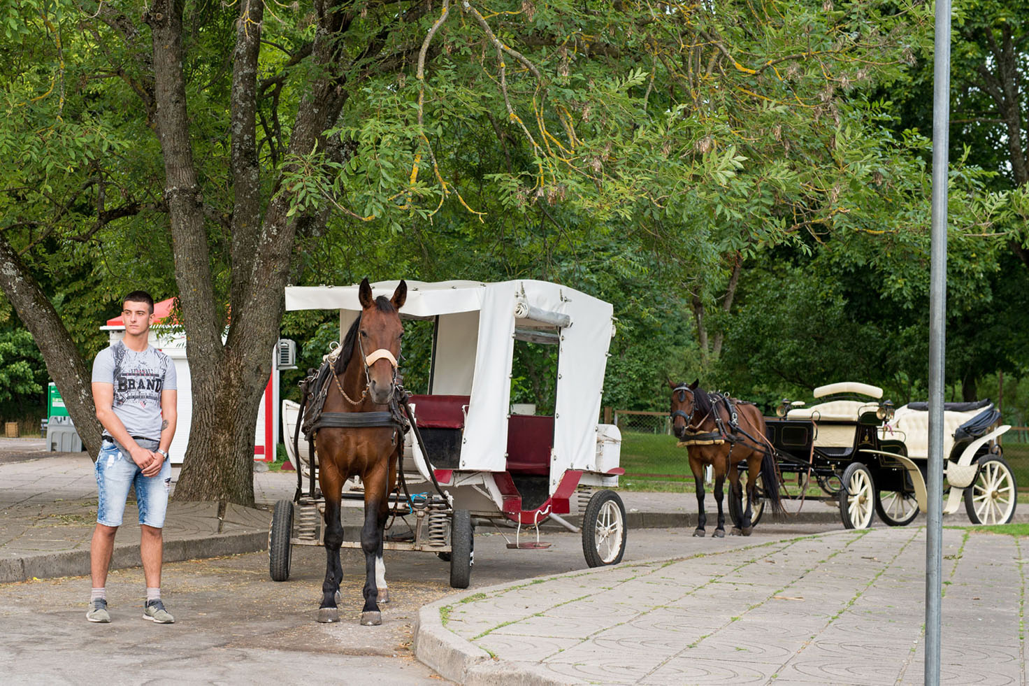 Žirgai Smiltynėje poilsiautojus šiemet vežios