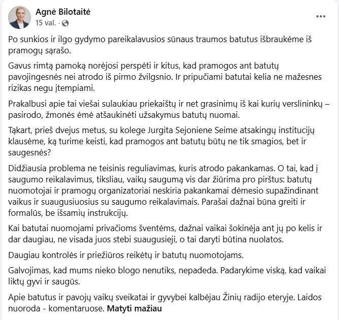 Politikės įrašas socialiniuose tinkluose