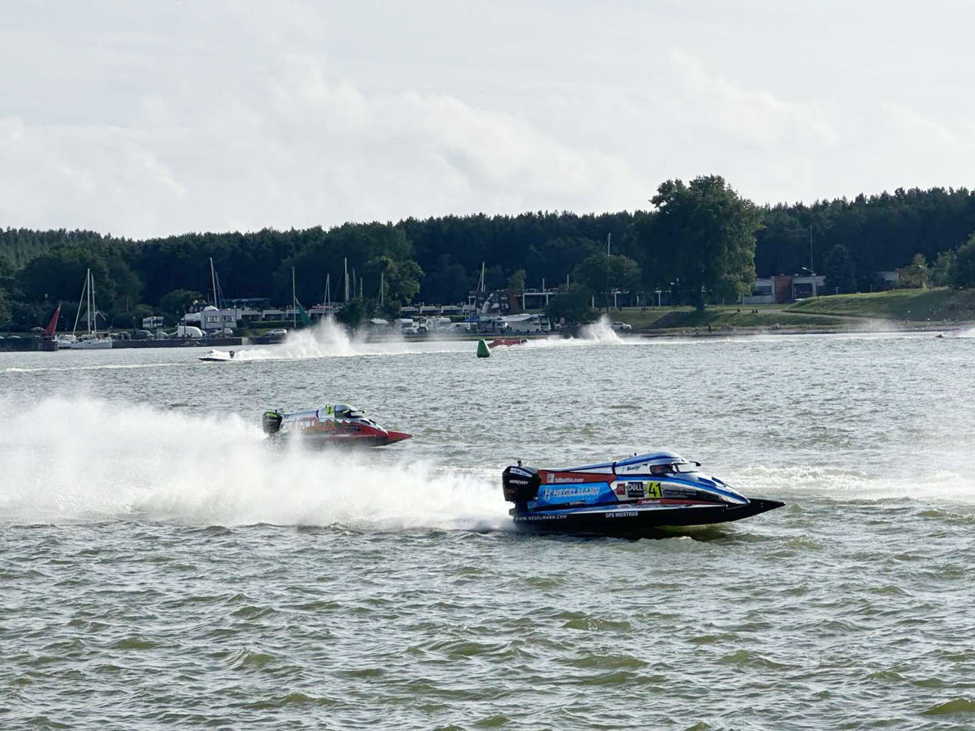 F2 vandens formulė