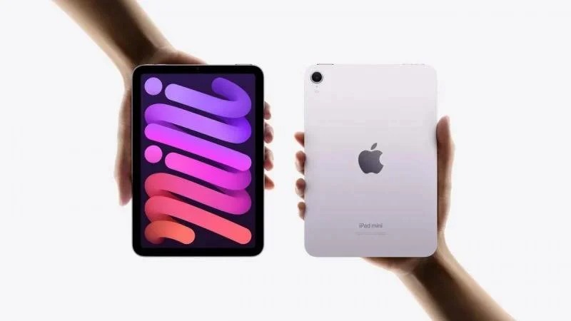 „iPad“ ir „iPad mini“