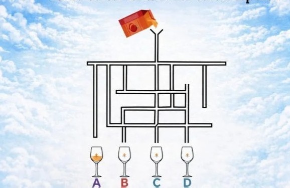 IQ testas
