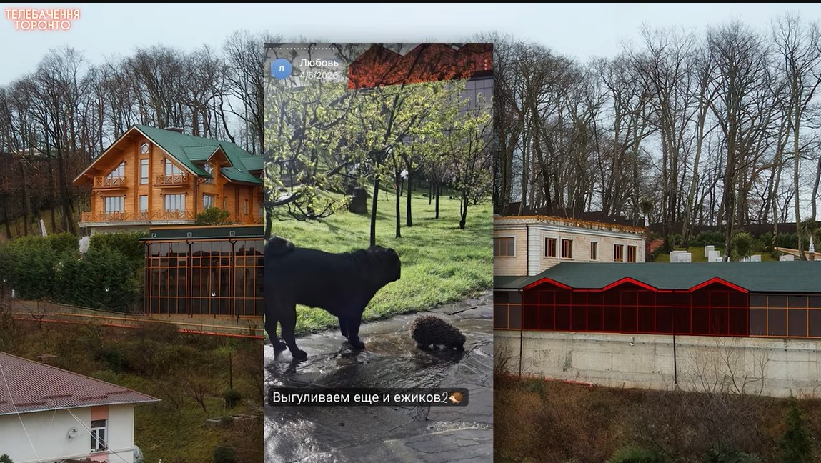 Viktoro Janukovyčiaus turtas