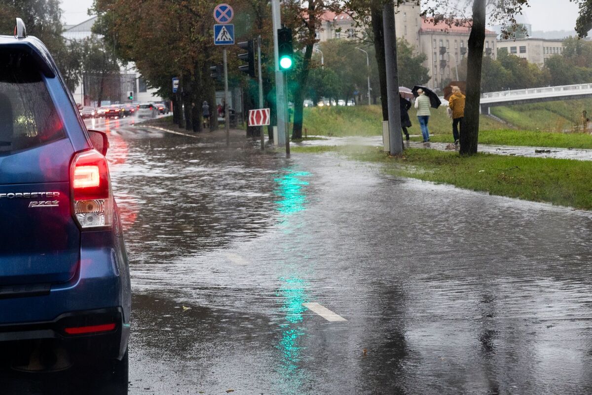 Liūtis Vakarų Lietuvoje