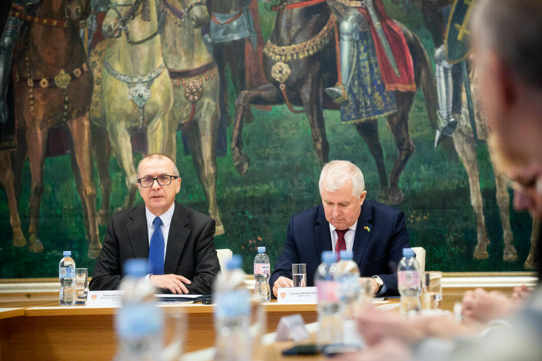 Mariaus Morkevičiaus (ELTA) nuotr.