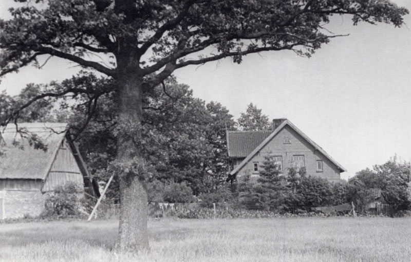 Pažėrų ir Klumbių namas ir ūkinis pastatas Miškogalių (dabar Petrelių) kaime. Šalia  sodybos augusio seno ąžuolo šiandieną nebėra. Fotografuota apie 1973-1974 m.