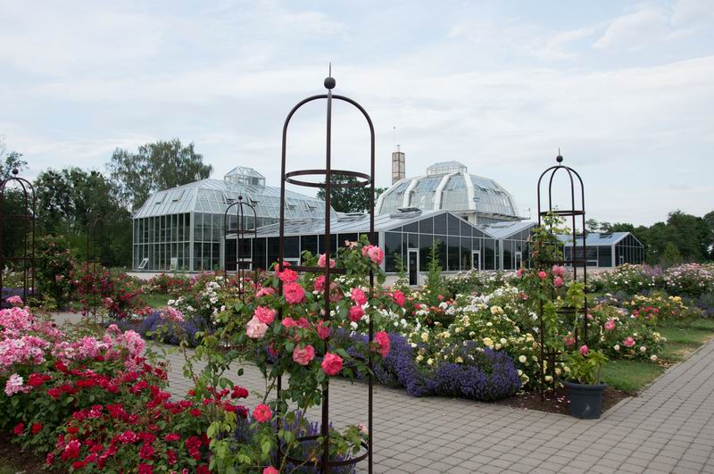 Pasigėrėkite itin gausia spalvų ir kvapų palete VDU Botanikos sode (aut. VDU Botanikos sodas).