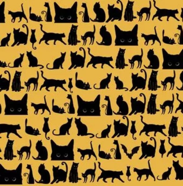 Organizatorių nuotr.