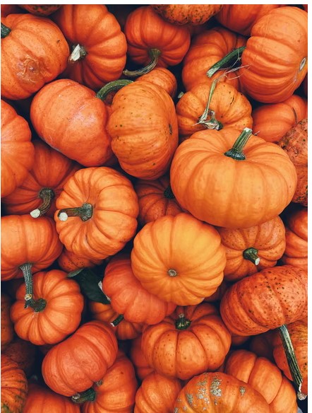 Organizatorių nuotr.