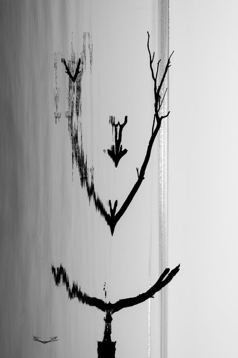 „Froido šešėlis“.  Ievos Sutkaitytės nuotrauka