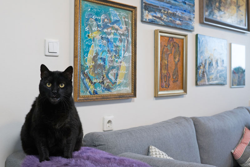 KATINAS su charakteriu. 