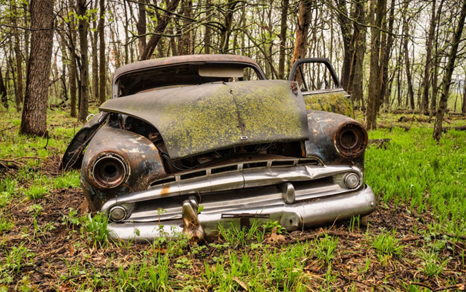 Tom Fisk iliustracija iš pexels.com