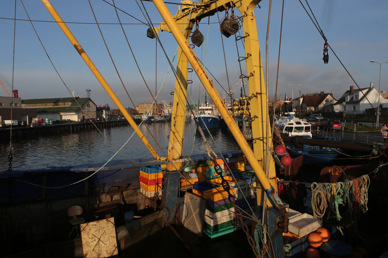 JŪROJE. Anksčiau Baltijos jūroje menkes gaudė apie 90 proc. Lietuvos žvejų, o dabar jau dvejus su puse metų trunkantis draudimas jas žvejoti, galiosiantis dar ir kitais metais, gerokai apsunkina jų padėti.