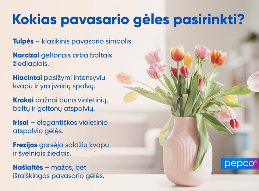 „Pepco“ infografika apie pavasario gėles