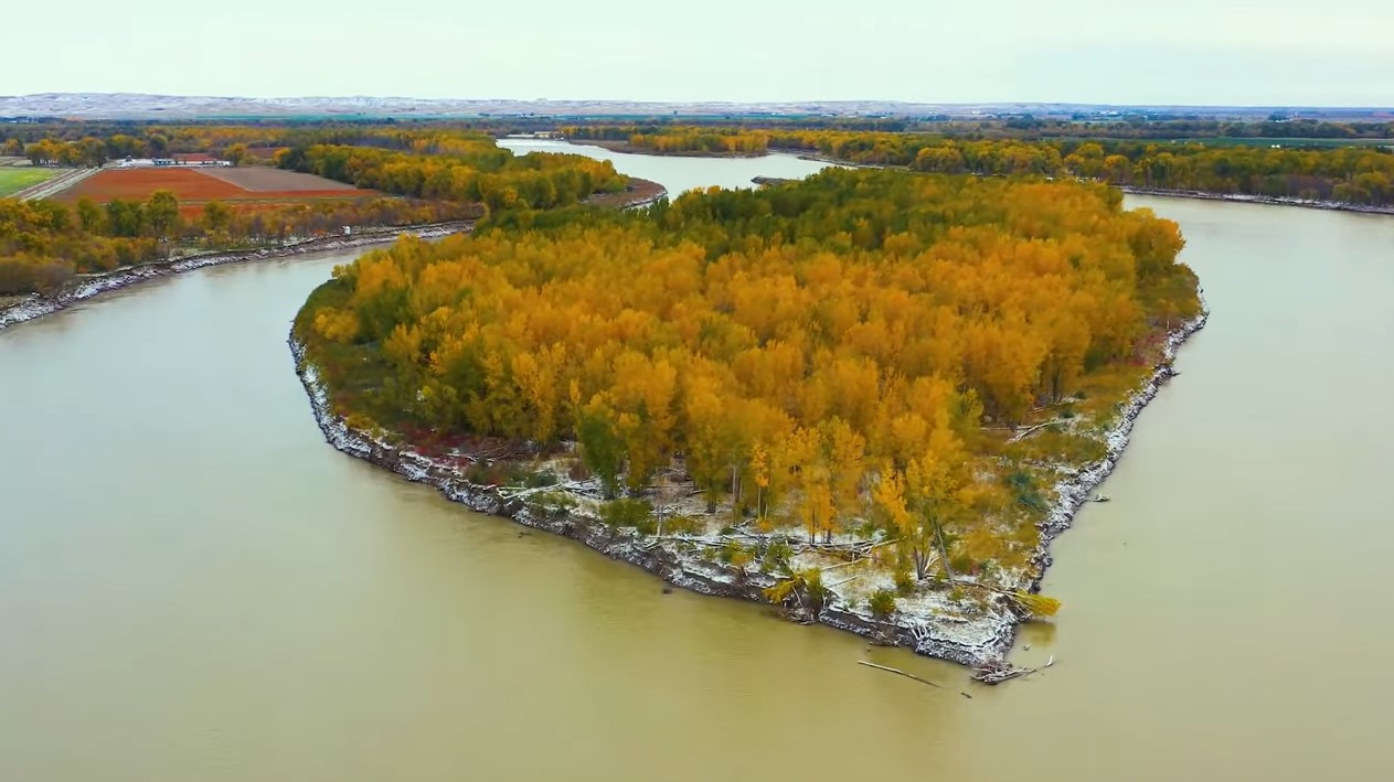 Organizatorių nuotr.