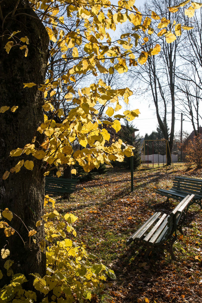 Organizatorių nuotr.