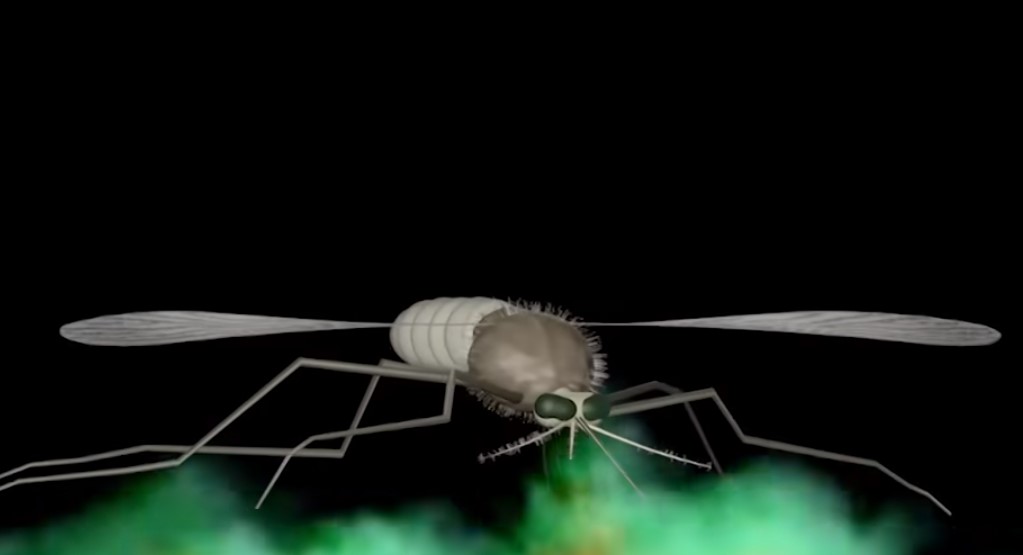 Organizatorių nuotr.