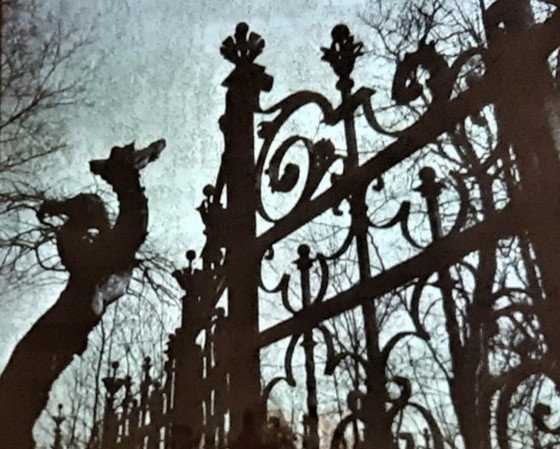 Organizatorių nuotr.