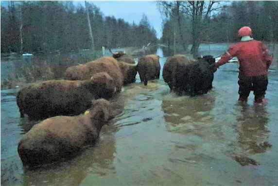 Organizatorių nuotr.