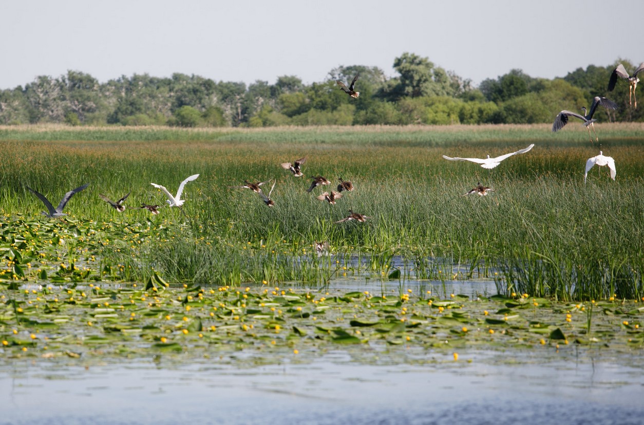 Organizatorių nuotr.