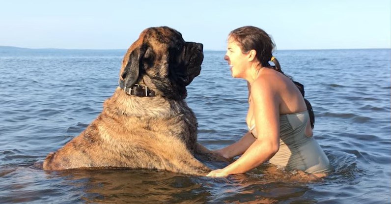 Organizatorių nuotr.