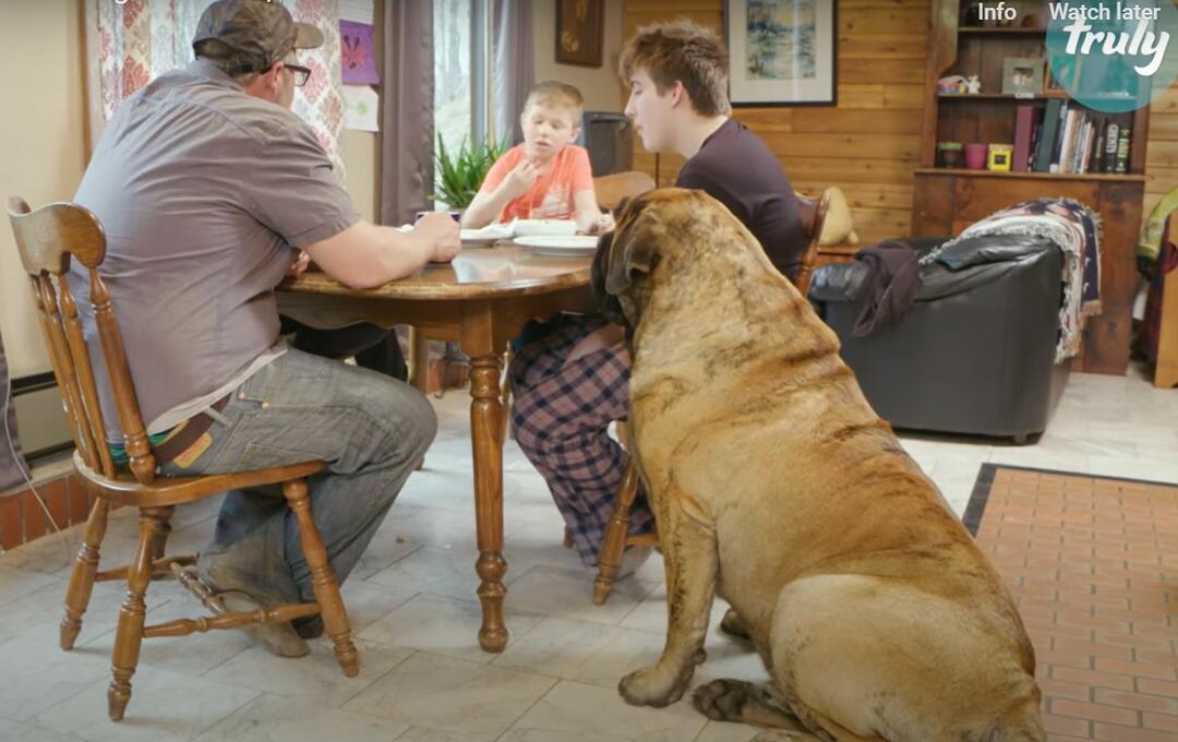 Organizatorių nuotr.