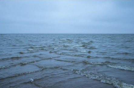 Organizatorių nuotr.