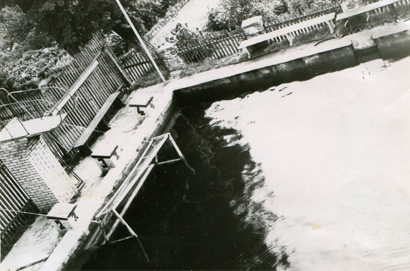 1957 m. prie tuometinės Kristijono Donelaičio mokyklos (dabar - Vytauto Didžiojo gimnazija) buvo pastatytas atviras miesto plaukimo baseinas. Čia dažnai treniruodavosi ne tik plaukikai, bet ir vandensvydininkai. Vėliau, 1969 m., šis atviras baseinas rekonstruotas į 25 m uždarą baseiną, pavadintą „Gintaro“ vardu.