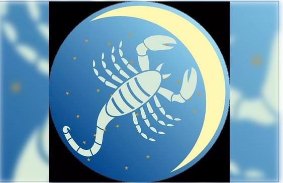 Organizatorių nuotr.