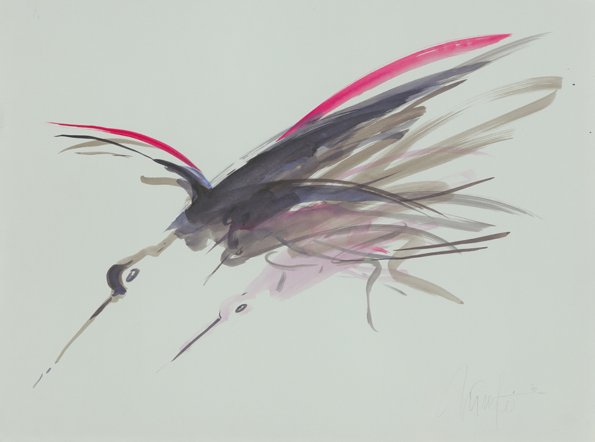 Stauskaitė. Paukščiai