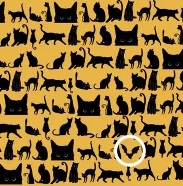 Organizatorių nuotr.