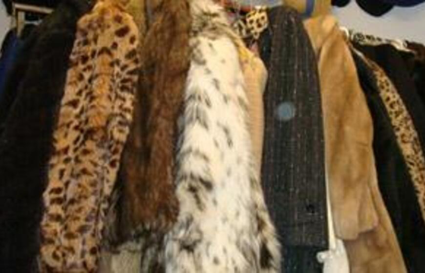 Pavogti kailiniai nesušildė