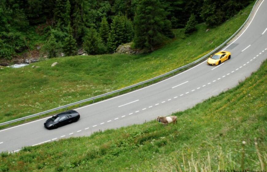 Šveicarijoje įvyko "Lamborghini" savininkų susitikimas