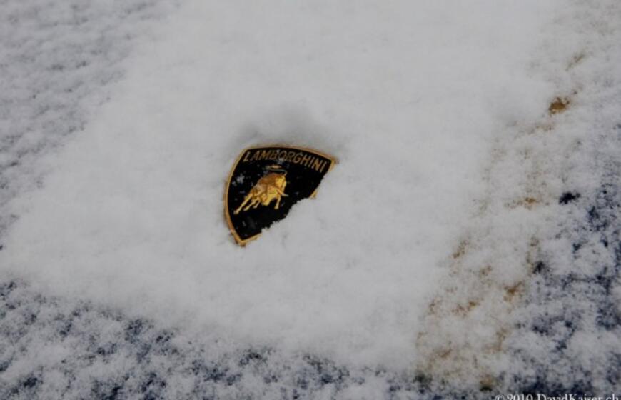 Šveicarijoje įvyko "Lamborghini" savininkų susitikimas