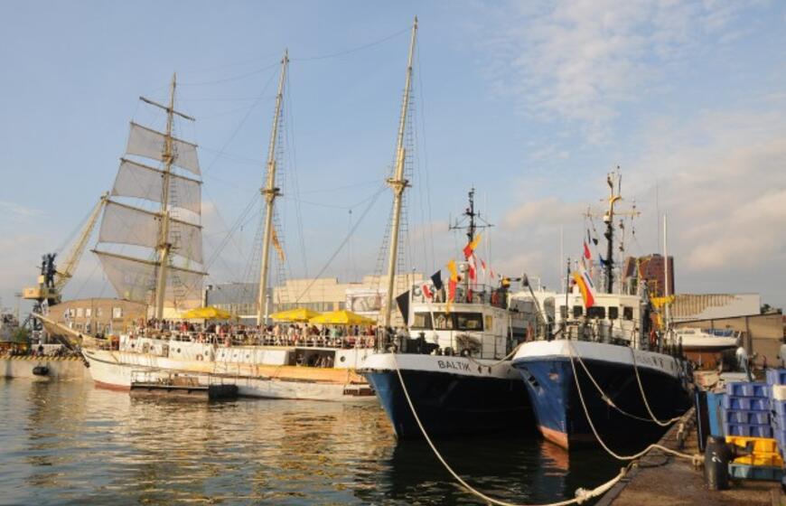 Gatvės cirko fiesta - Stebuklų šalis