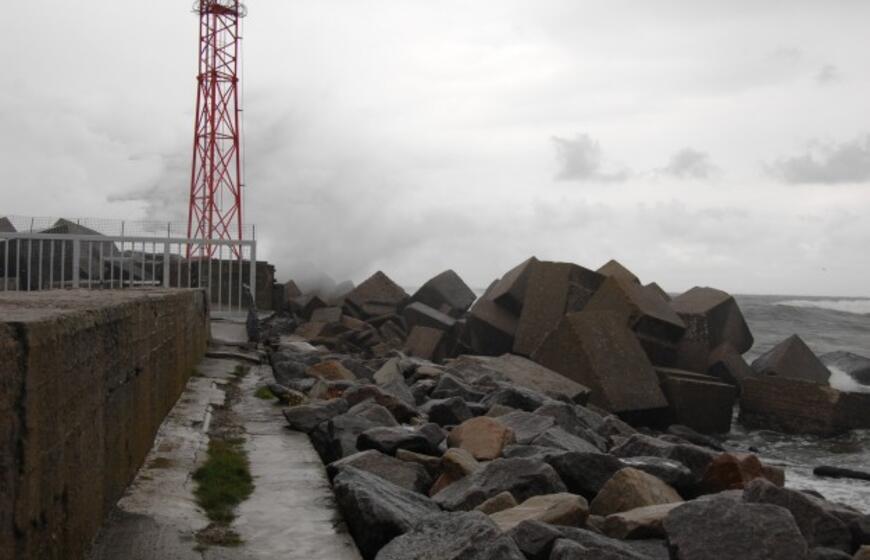 Audringas trečiadienis Klaipėdoje: Melnragė