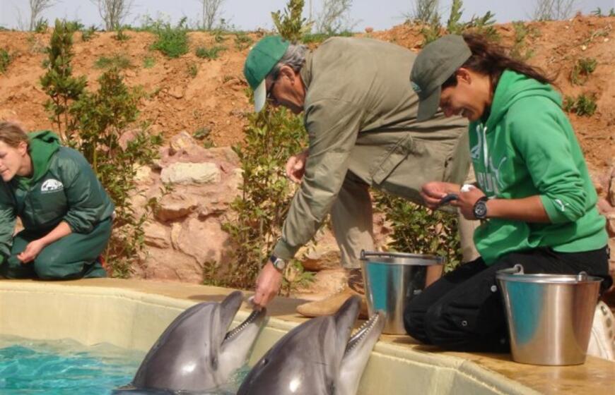 Klaipėdos delfinai jau apsipranta Graikijoje