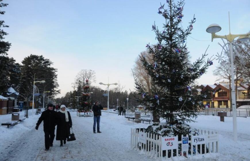 Palangoje - kalėdinių eglių alėja