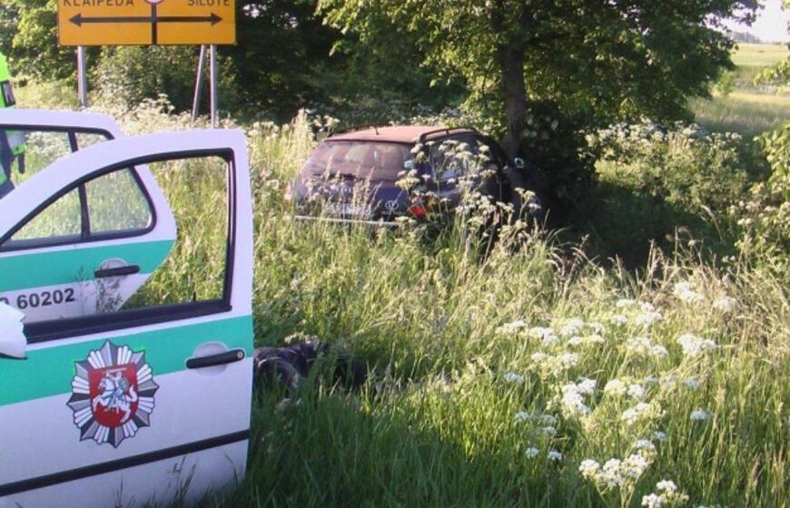 "Audi" sustabdė pakelės medis