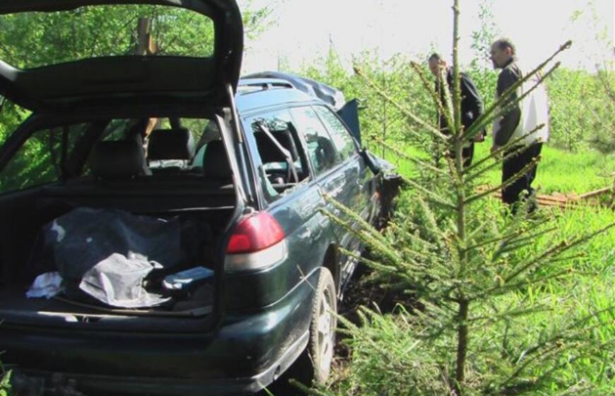 Avariją sukėlė agresyvus pudelis