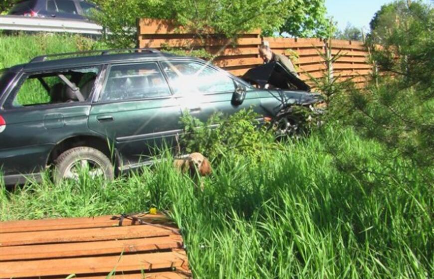 Avariją sukėlė agresyvus pudelis