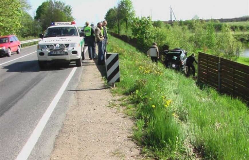 Avariją sukėlė agresyvus pudelis